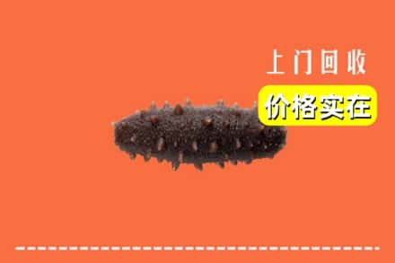 收购资讯:汝州市回收海参