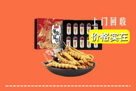 汝州市回收虫草
